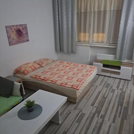 Apartment Capital Town Vk 14 โนวีซาด ภายนอก รูปภาพ