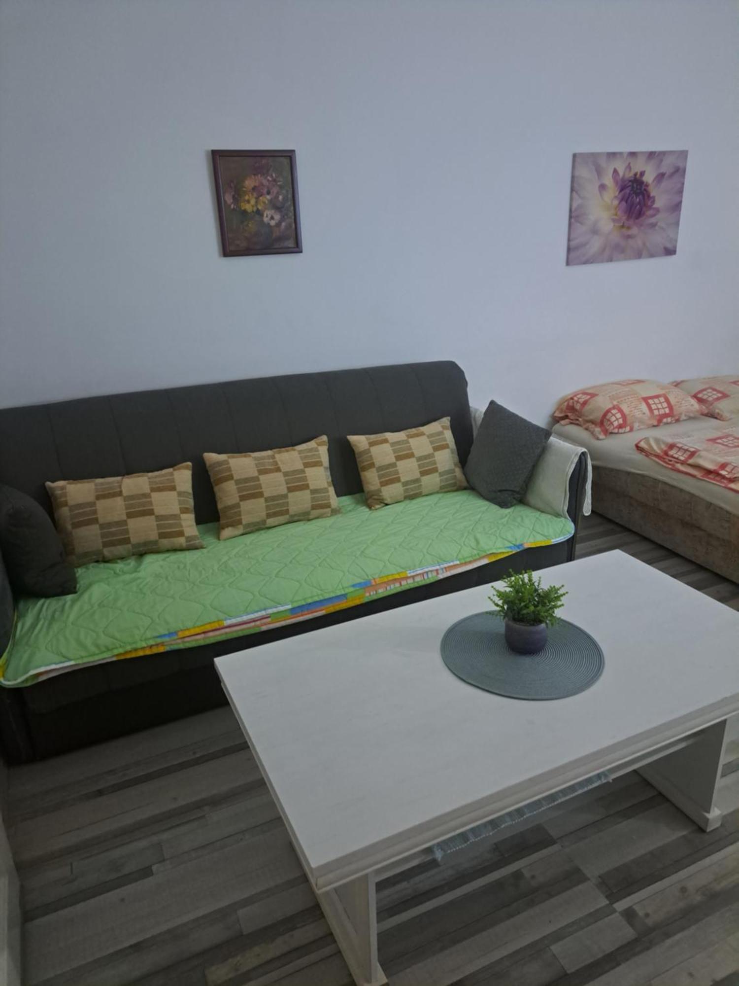 Apartment Capital Town Vk 14 โนวีซาด ภายนอก รูปภาพ